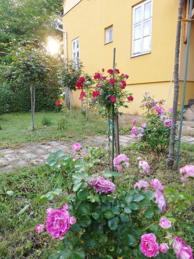 Szorcsik Haz 1913 Apartment Senta Екстериор снимка